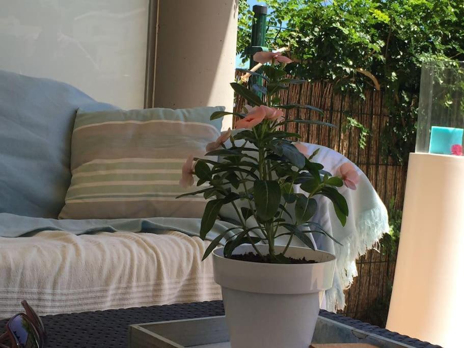 Residence Avec Piscine Face A La Mer, 1Ere Ligne Llança Εξωτερικό φωτογραφία